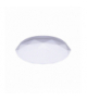 Plafoniera LED DIAX LED 17W CCT biały Struhm 05078 - zdjęcie 1