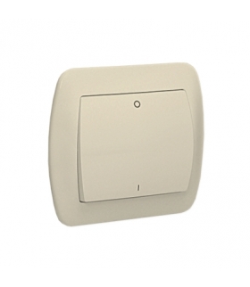 Łącznik dwubiegunowy beżowy 10AX AW2/12