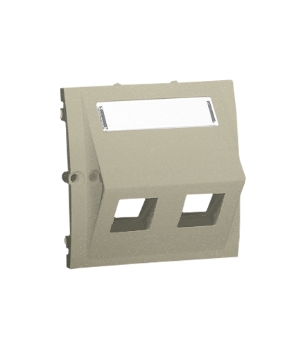 Pokrywa gniazd teleinformatycznych na Keystone skośna podwójna z polem opisowym platynowy, metalizowany MGKS1P/27
