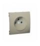 Pokrywa do gniazda wtyczkowego pojedynczego z uziemieniem platynowy, metalizowany MGZ1P/27