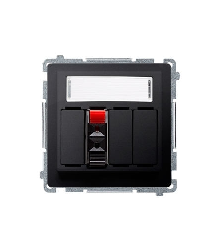 Gniazdo głośnikowe 1-krotne z polem opisowym grafit mat, metalizowany BMGL31.01/28