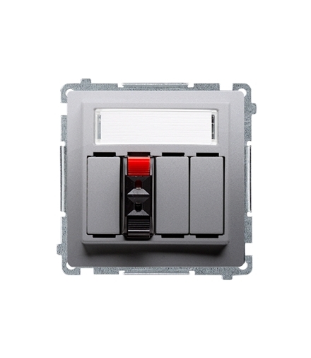 Gniazdo głośnikowe 1-krotne z polem opisowym srebrny mat, metalizowany BMGL31.01/43