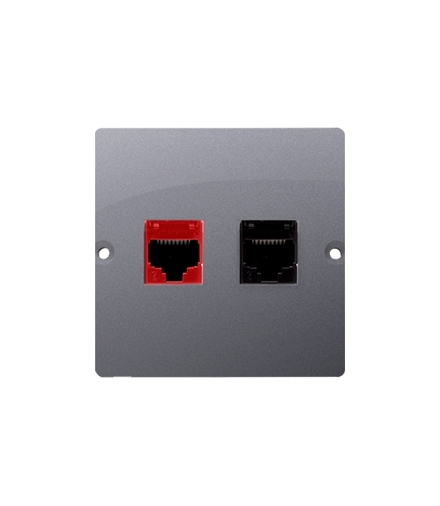 Gniazdo komputerowe RJ45 kat.5e + telefoniczne RJ12 (moduł). Montaż gniazda na wkręty do puszki, stal inox BM5T.02/21