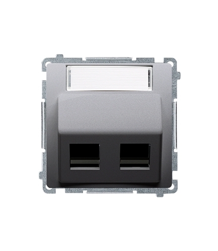 Pokrywa gniazd teleinformatycznych na PANDUIT, skośna podwójna z polem opisowym inox, metalizowany BMGPS2P.02/21