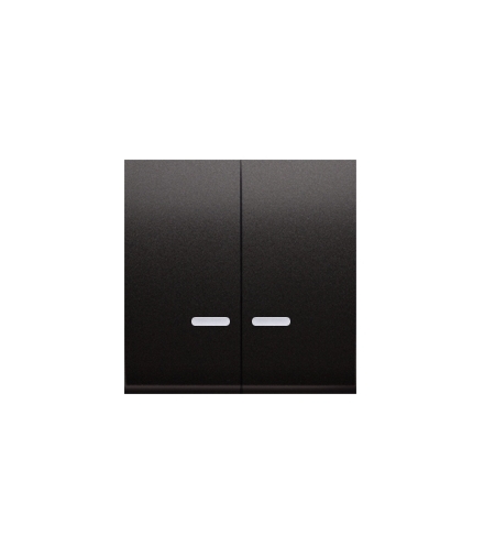 Klawisze podwójne z oczkiem do mechanizmów SW6/2XLM, SW7/2XM, SW6P1M antracyt, metalizowany DKW9L/48