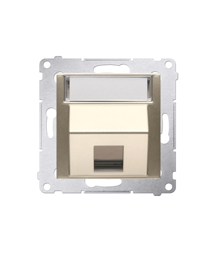 Pokrywa gniazd teleinformatycznych na Keystone skośna pojedyncza z polem opisowym złoty mat, metalizowany DKP1S.01/44