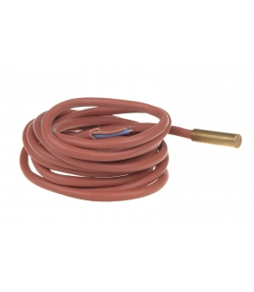 Sonda temperatury RT2