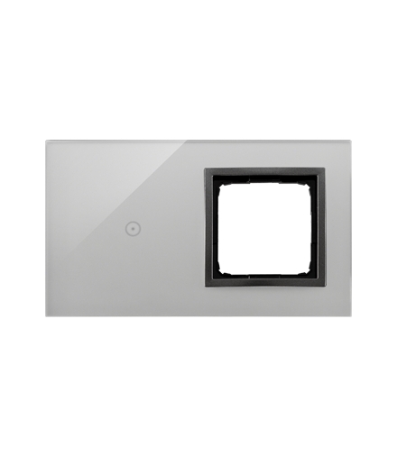 Panel dotykowy 2 moduły 1 pole dotykowe, otwór na osprzęt Simon 54, burzowa chmura DSTR210/72