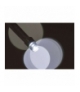 Lampki choinkowe 100 LED 10m CW, timer EMOS ZY0807T