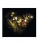 Lampki choinkowe Classic 40 LED 4m ciepła biel, zielony przewód, IP44, timer EMOS Lighting D4AW01