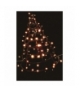 Lampki choinkowe 40 LED 4m VNT, timer EMOS ZY1431T