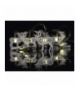 Dekoracje 10 LED 1,35m drewniane renifery 2x AA WW, timer EMOS ZY1971