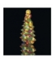 Dekoracje 20 LED choinka 45cm 3x AA IP20, WW, timer EMOS ZY2125