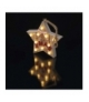 Dekoracje 10 LED drewniana gwiazda 22cm 2x AAA WW, timer EMOS ZY2079