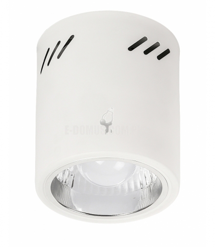 Plafon Donald E27 60W biały matowy Rabalux 2484