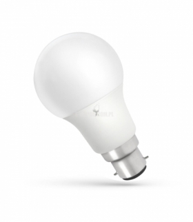 LED GLS B-22 230V 10W CW SPECTRUM WOJ+14281