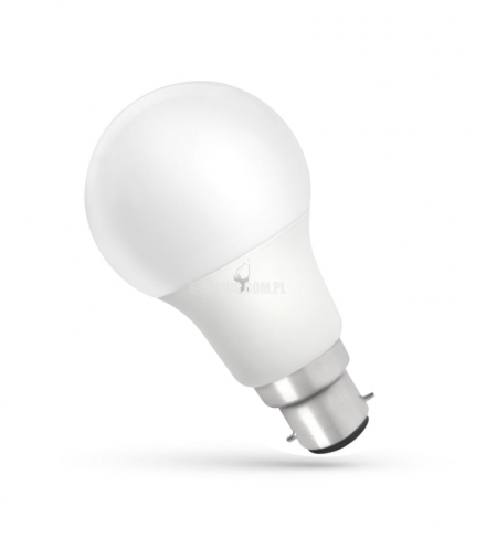 LED GLS B-22 230V 10W CW SPECTRUM WOJ+14281