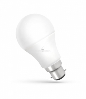 LED GLS B-22 230V 13W CW SPECTRUM WOJ+14284