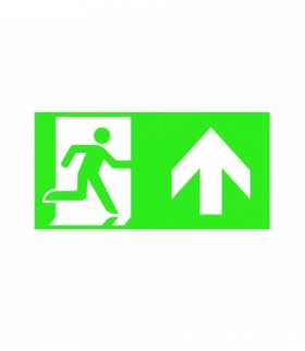 PICTO ONTEC S TMP67 Znak ewakuacyjny Kanlux 27522
