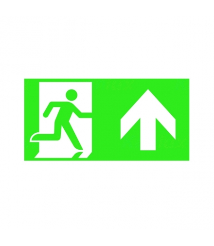 PICTO ONTEC S TMP67 Znak ewakuacyjny Kanlux 27522