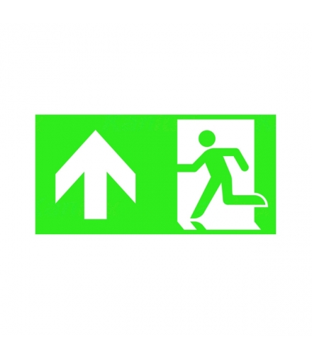 PICTO ONTEC S TMP68 Znak ewakuacyjny Kanlux 27523