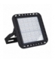 FLM LED 220W-NW-60D Naświetlacz Led Kanlux 28524