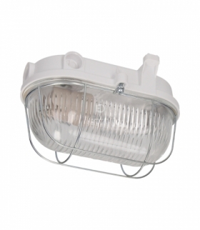 Oprawa oświetl. BURAN,IP54,100W, szkło,osł.stalowa