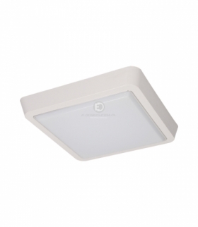 Plafon TONGA LED 8W, 80 SMD3014 Epistar, 660lm, 3000K, poliwęglan mleczny