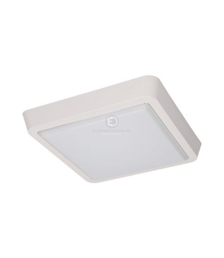 Plafon TONGA LED 8W, 80 SMD3014 Epistar, 660lm, 3000K, poliwęglan mleczny