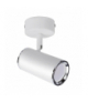 Oprawa ścienno-sufitowa MEGAN SPT GU10 WHITE IDEUS 03655