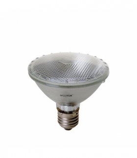 PAR 30 75W/230V 30ST FLOOD SPECTRUM WOJ+11412