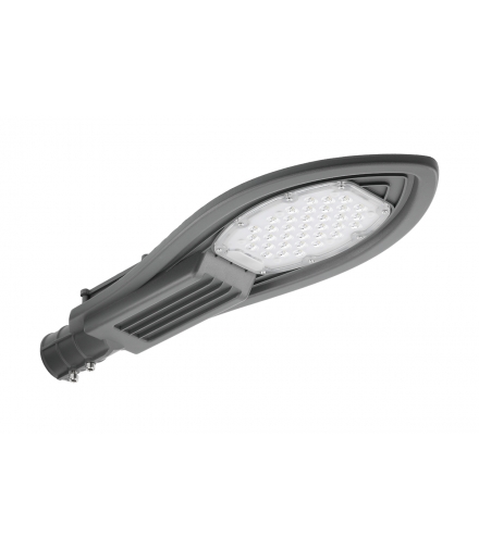 Lampa uliczno-parkowa PARKER LED, 30W, 3000 lm, AC220-240V, 50/60Hz, IP65, 4000K, szary