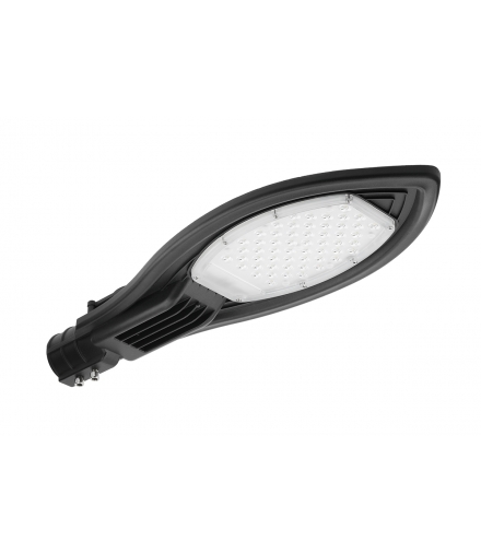 Lampa uliczno-parkowa PARKER LED, 50W, 5000 lm, AC220-240V, 50/60Hz, IP65, 4000K, szary