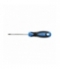 Wkrętak torx T30, 100 mm, stal S2
