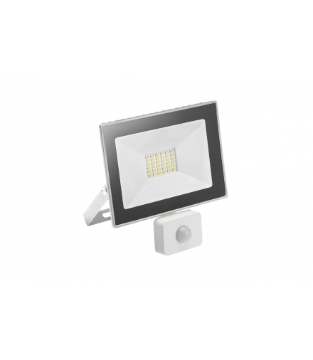 G-TECH Naświetlacz LED z czuj. ruchu, 30W, 2100lm, AC220-240V,50/60 Hz,PF0,9,IP65,120°,6400K,biały