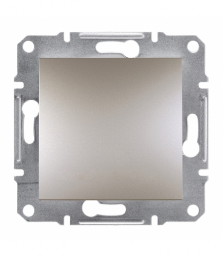 Asfora Łącznik 1-biegunowy IP44 brąz Schneider EPH0100269