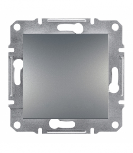 Asfora Łącznik 2-biegunowy bez ramki stal Schneider EPH0200162