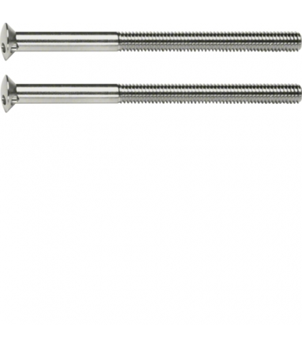 Berker TS Śruba z dwoma otworami M3,5 x 50 mm, chrom Berker 189510