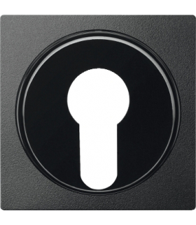 Merten Płytka centralna łącznika na klucz dwupołożeniowy antracytowy System M