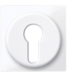 Merten Płytka centralna System M łącznika na klucz DIN biały active