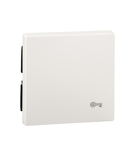 Merten Klawisz System M pojedynczy z oznaczeniem ''klucz'' biały polarny