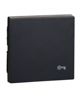 Merten Klawisz System M pojedynczy z oznaczeniem ''klucz'' antracytowy