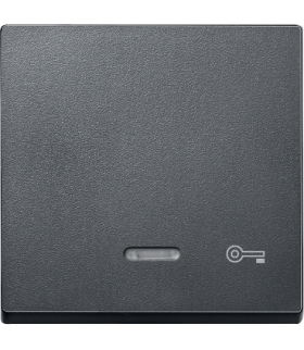 Merten Klawisz pojedynczy z oznaczeniem klucz z lampką sygnalizacyjną antracyt,Sys. M
