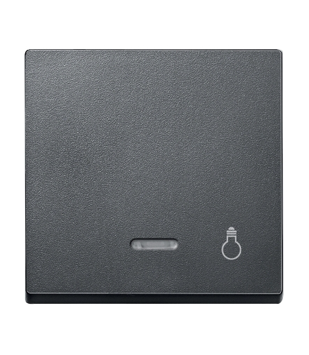 Merten Klawisz z lampką sygnalizacyjną i oznaczeniem „światło”, antracyt, system M