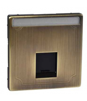 Merten Płytka centralna gniazd 1XRJ45,SE, M.ANT.S.D.