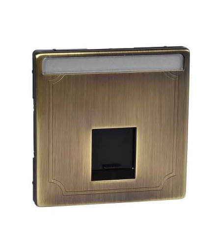 Merten Płytka centralna gniazd 1XRJ45,SE, M.ANT.S.D.