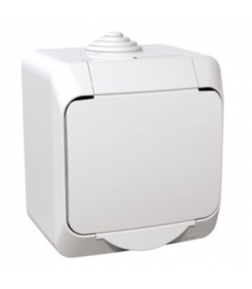 Cedar Plus Gniazdo pojedyncze 2P+PE z białą klapką IP44 biały Schneider WDE000540
