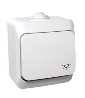 Cedar Plus Przycisk "światło" IP44 biały Schneider WDE000513