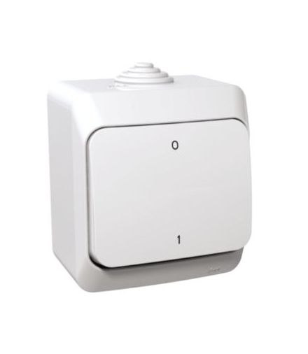 Cedar Plus Łącznik 2-biegunowy IP44 biały Schneider WDE000520