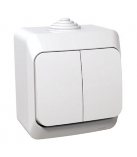 Cedar Plus Łącznik świecznikowy z podświetleniem IP44 biały Schneider WDE000551
